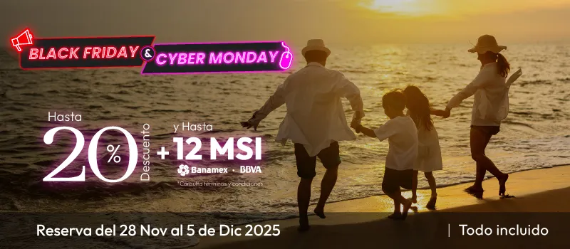 Black Friday and Cyber Monday