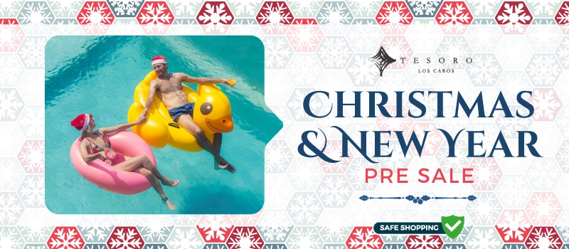 Christmas and New Year  Pre Sale