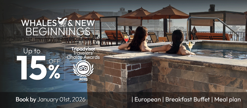 Whales and New Beginnings 