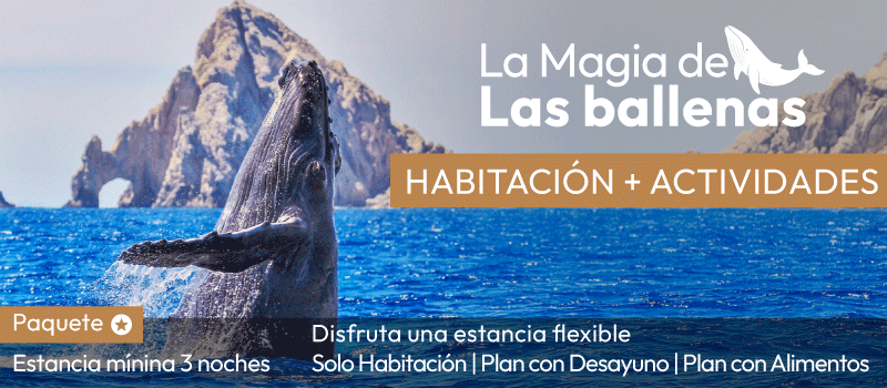 La Magia De Las Ballenas en Tesoro en Tesoro Los Cabos viajando del 01/Julio/2026 al 01/Julio/2026