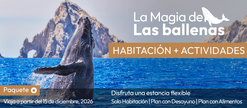 La Magia de las Ballenas