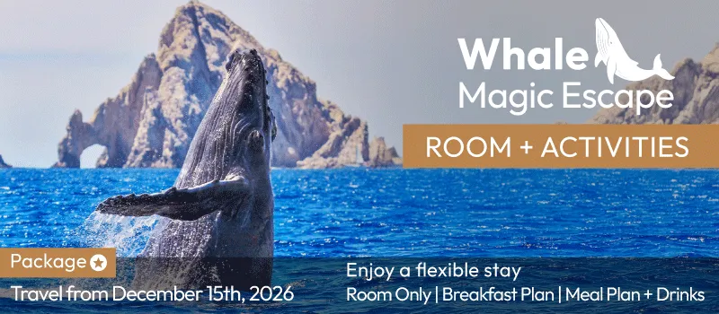 Whale Magic Escape