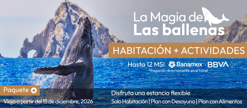 La Magia de las Ballenas